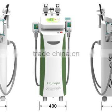 Factoy Directly Best Selling !!2015 New Whole Body Fat Loss Cryolipolysis Fat Freezing Machine photo-4