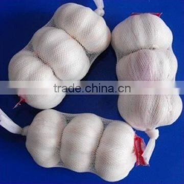 2015 china new crop fresh garlic or fresh vegetables