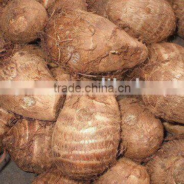 Chinese Fresh taro