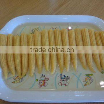 Canned Baby Corn in Brine