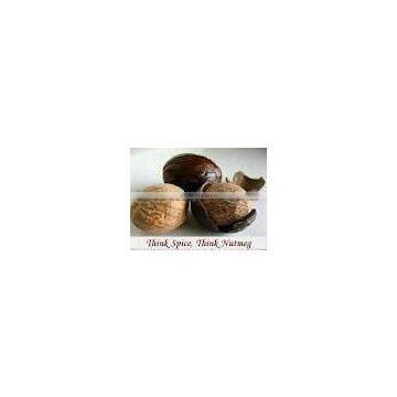 Nutmeg Seeds Without Shell Indian photo-3
