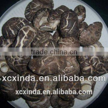 2015 new dried flower mushroom