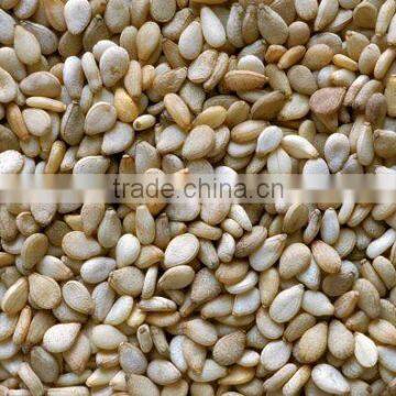 Best Price Hulled Sesame Seeds for Importers photo-2