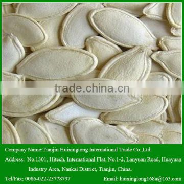 Chinese Shine Skin Pumpkin Seeds in Bulk for Sale