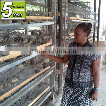 iron wire quail cage