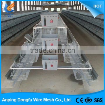 high quality low carbon steel chicken cage