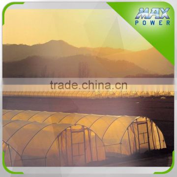 High Quality Cheap Vegetable Greenhouse Poly Tunnel