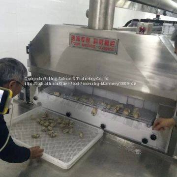 Cryogenic Freezer, Iqf Freezer, 300kg per Hour photo-2