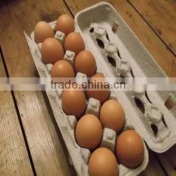 12 cells paper pulp egg tray carton with cover