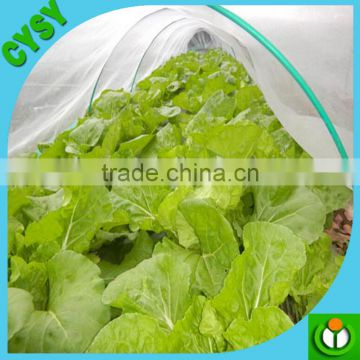 windscreen anti aphid net/100% virgin HDPE greenhouse anti insect net/Green Vegetable Plants Trellis Insect Nets