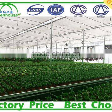 glass greenhouse for nursery plants