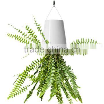 New Arrival Hanging Flower Pot Sky Planter Upside-Down Plant Pot Fashion Sky Planter photo-3