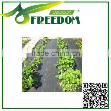 High Quality Agricultural Ground Cover photo-4