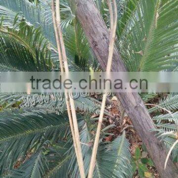 U-shape Bamboo Hoops for Planters photo-2