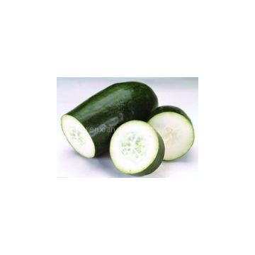 Winter Melon