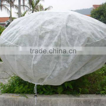 Nonwoven fabric for Agriculture