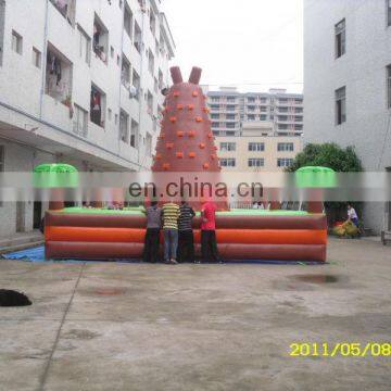 Top Quality Inflatable Climbing Wall/rock Climb Wall/water Climb Wal