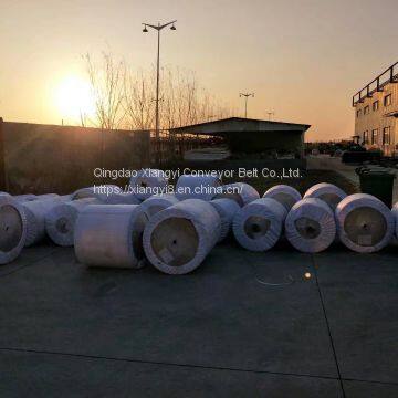 EP Conveyor Belt, EP Belt , EP Rubber Belt photo-3