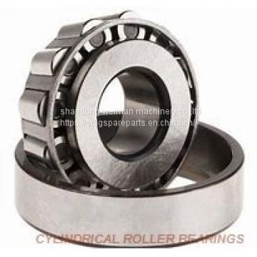 CYLINDRICAL ROLLER BEARINGS ONE-ROW METRIC ISO SERIES