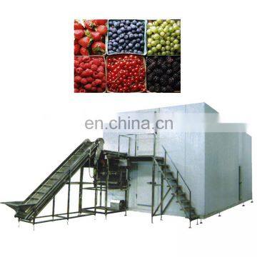 New products quick frozen fruit and vegetable production line iqf freezer machine