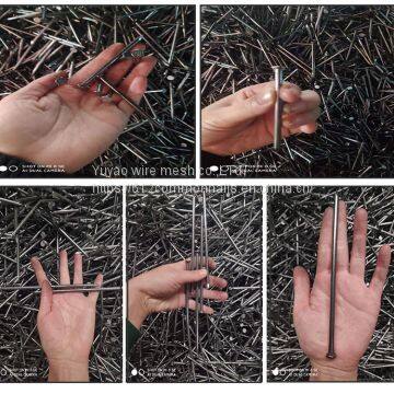2 Inch 3 Inch Common Wire Nails/High Quality Iron Nails photo-5