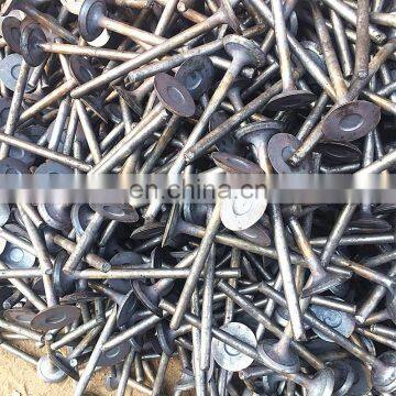 Spring Kits Auto Parts ad ff Hard Chrome Plated Stem Engine Valve for Nissan v6 Murano Z51 2016 Z52 Z50 sv Pathfinder ae Market photo-5