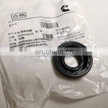 Engine ISF3.8 Grommet Seal 5317268