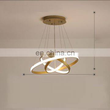 Living Room Chandelier Modern Minimalist Creative Led Duplex Building Ring Nordic Bedroom Dining Room Lamps photo-4
