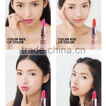 Plastic lipstick mould cheap lipstick ladies lipstick