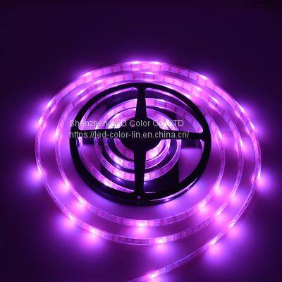 Chinese Factory Rgb Waterproof Decoration 72 Leds/m Led Strip Light photo-2
