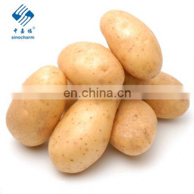 Hot Sale Many Sizes Fresh Potato For Sale