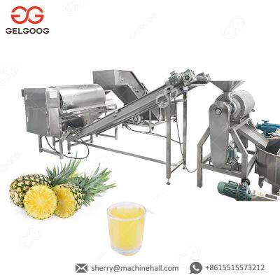 Mango Processing Line for Juice and Pulp Production Fruit Processing Machines