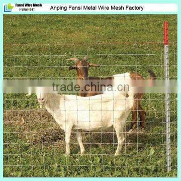 galvanized sheep wire mesh fence