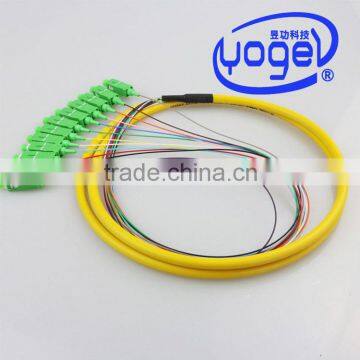 FTTH Fascicular Best price outdoor SC PC 12 Core Fiber Optical Patch Cord