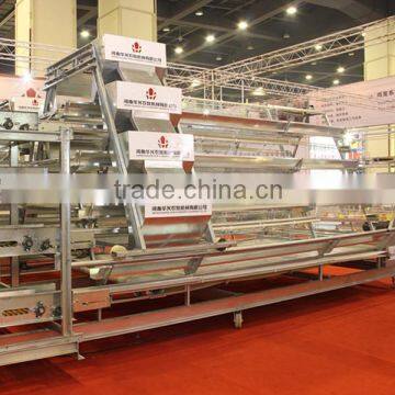 Broiler Battery Cages With Automatic System photo-2