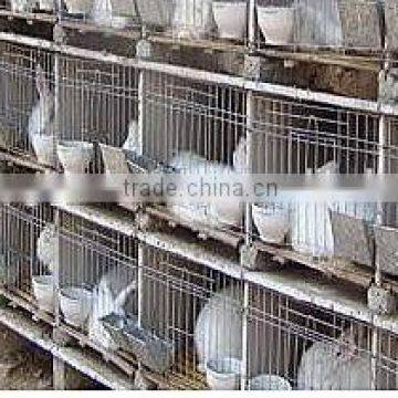 wire steel pet cage /wire rabbit cage/ wood rabbit coop