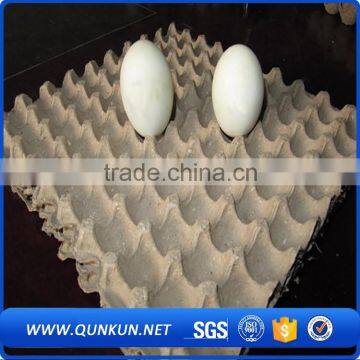 Wholesale Price Eggs Packaging photo-5