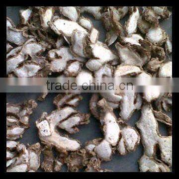 Lesser Galanga/ Kaempferia Galanga/ Sand Ginger photo-3