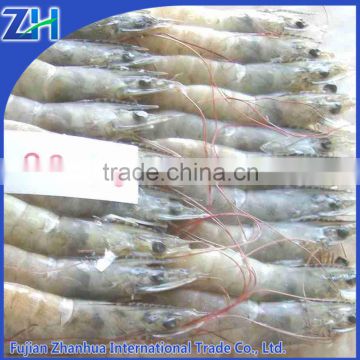 frozen white shrimp vannamei price