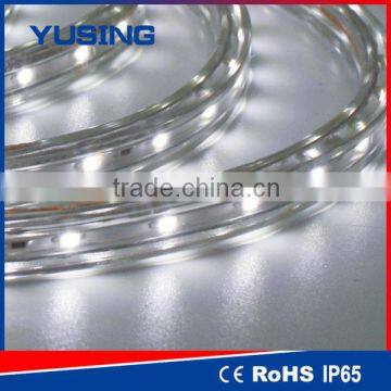 3 Years Warranty High Voltage 100M/Roll LED Strip Light 220-240V