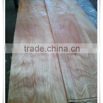 Natural Wood Veneer Plb Veneer Gurjan Veneer photo-5