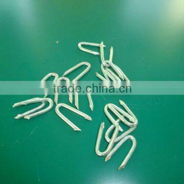 Fence Staple Nail photo-4