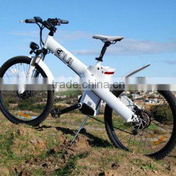 2014 new japan electric bicycle for teenage and adult , easy rider , surprise design and in good quality , hot for sale