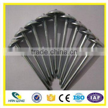 Smooth Shank Roofing Nail High Quality Made in China photo-6