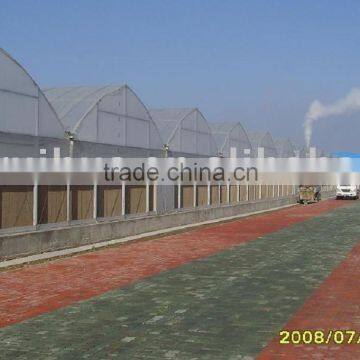 Plastic Film Greenhouse