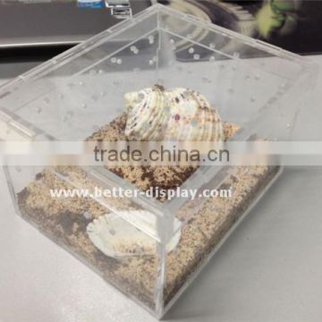 wholesale acrylic organic glass plant terrarium