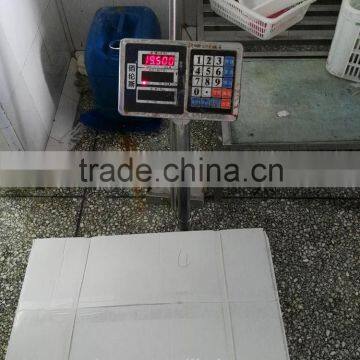 Freezer Gutted and Scaled Tilapia 300/500g photo-5