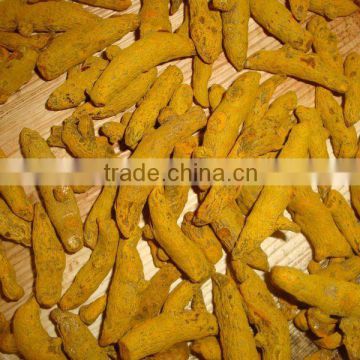 Turmeric Finger - Special Grade