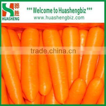 2016 Best Quality Fresh Red Carrots photo-5