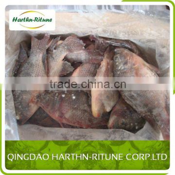 Boneless And Skinless Iqf Tilapia Fillet Fish